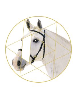 White Horse Facing Left