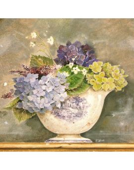 Pot Of Hydrangeas