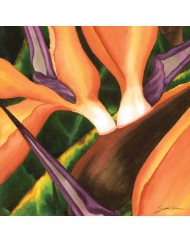 Bird Of Paradise Ⅱ