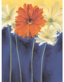 Red Gerbera