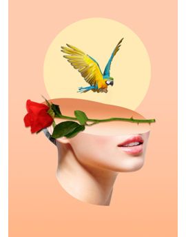 Lady,Parrot And Rose
