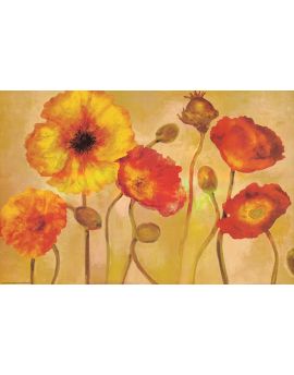 Red Poppies