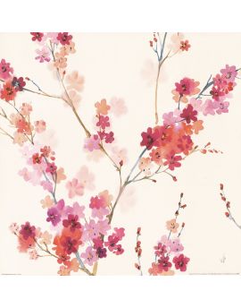 Pink Flower Blossom