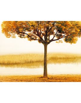 Golden Morning