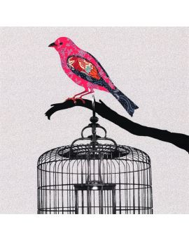 Red Bird On Birdcage