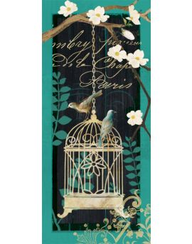 Two Birds On Birdcage