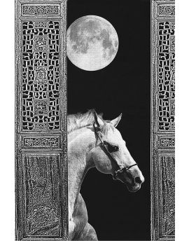 White Horse And Big Moon