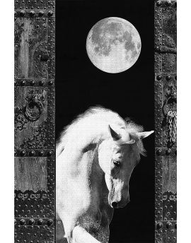 White Horse In Meditation Under Full Moon