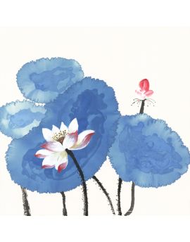 White And Red Lotuses