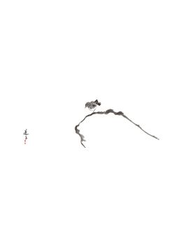 A Sparrow
