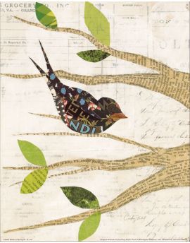 Black Bird In Spring
