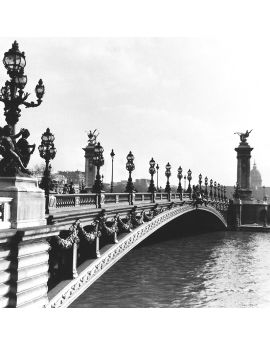 Bridge In Paris