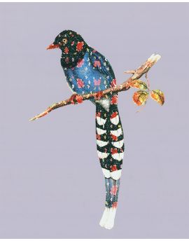 Long Tailed Bird On A Limb