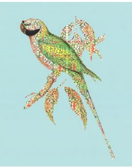 Green Parrot