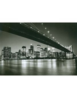 Manhattan Skyline, New York City