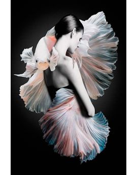 Elegant Lady With Features Of Feather Tail Betta Fish
