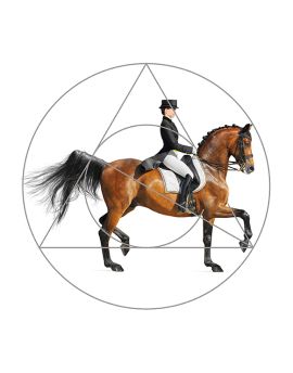 Dressage Chestnut Horse And Rider
