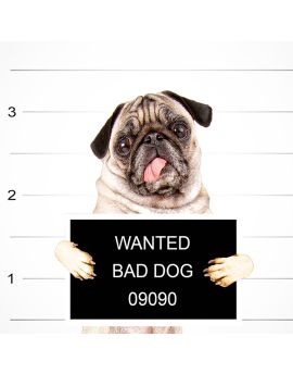 Wanted Bad Dog