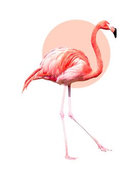 Flamingo Step