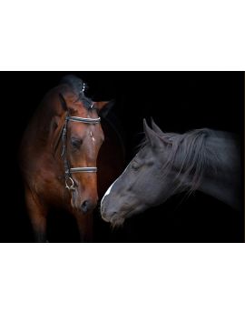 Tenderness