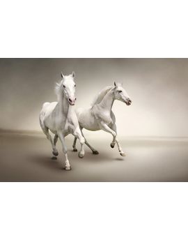 Two Running White Horses