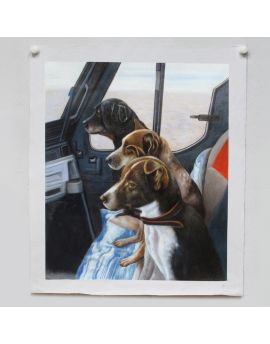 Pet Dog Portrait Sample 1