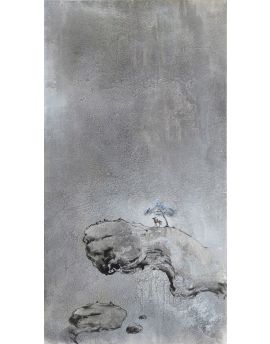 Climbing High And Gazing Far