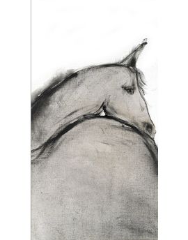 A Grey Horse