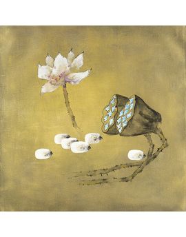 Lotus,Lotus Seeds And Seedpods