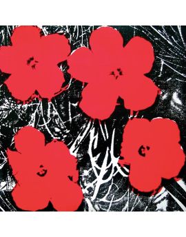 Big Red Flowers