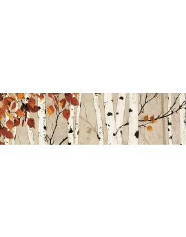 Trunks In Autumn