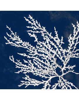 White Branches