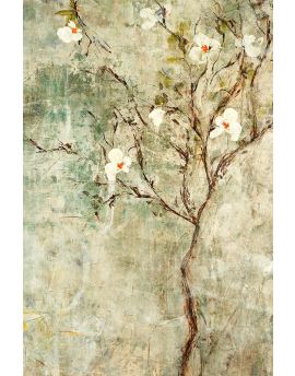 White Flowery Tree