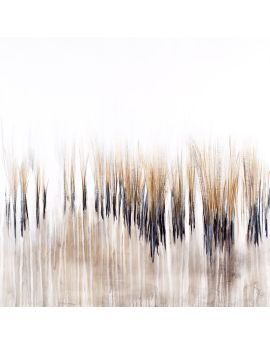 Reed Marsh
