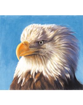 White Eagle