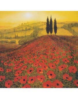 Red Poppy Fields