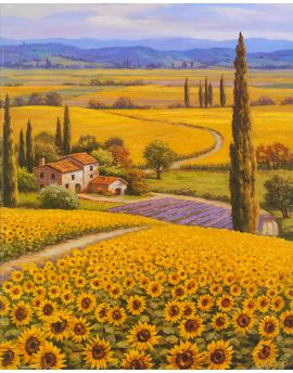 Sunflower Fields