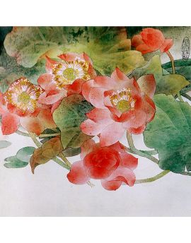 Red-Lotus Pool
