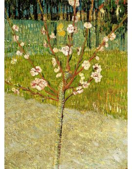 Almond Tree In Blossom By Vincent Van Gogh