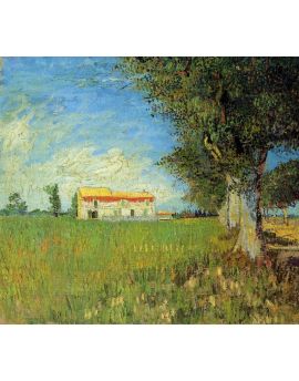 Farmhouse In A Wheat Field by Vincent Van Gogh