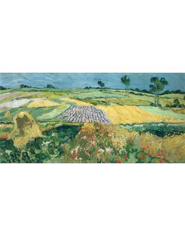 Wheatfields by Vincent van Gogh