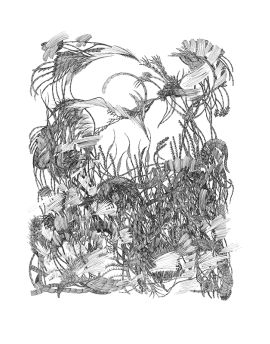 Plants And Flowers By Mai Ping