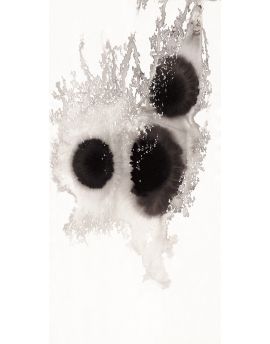 Black Holes By Mai Ping