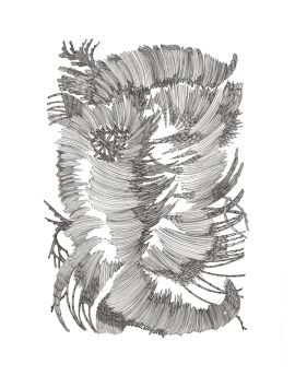 Abstract Feathers By Mai Ping