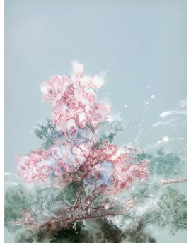 Pink Trees By Pan Tianyu