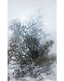 Withered Trees By Pan Tianyu