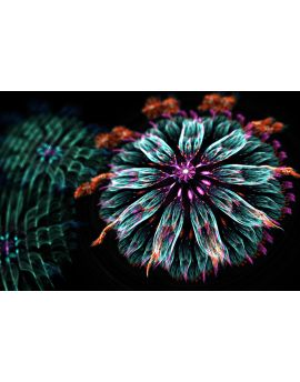 Flower In Water By Qing Ke