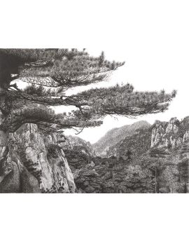 Mountain Pines By Wang Jingfu