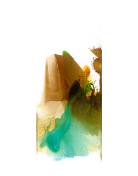 Rocks And Trees By Wang Junsen