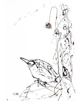 A Fat Bird By Wang Junsen